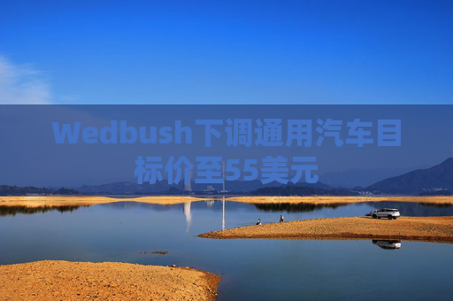 Wedbush下调通用汽车目标价至55美元