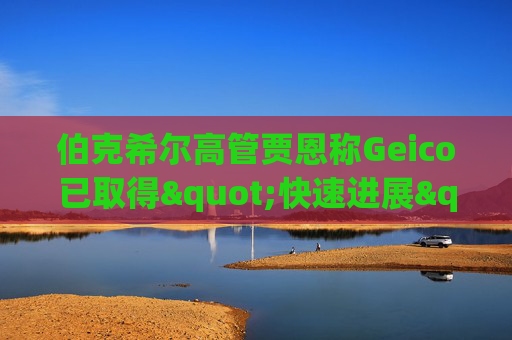 伯克希尔高管贾恩称Geico已取得"快速进展"