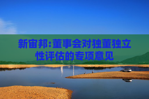 新宙邦:董事会对独董独立性评估的专项意见