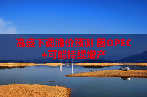 高盛下调油价预测 因OPEC+可能持续增产