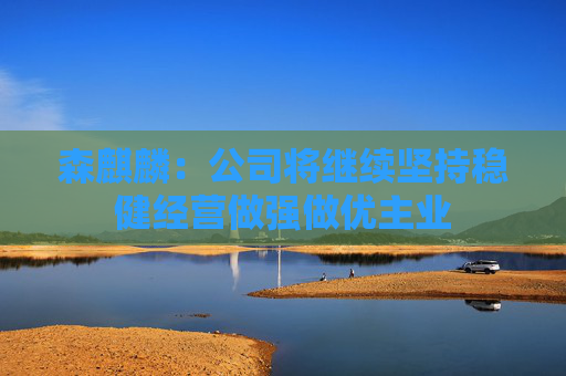 森麒麟：公司将继续坚持稳健经营做强做优主业