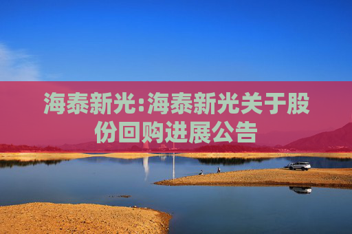 海泰新光:海泰新光关于股份回购进展公告