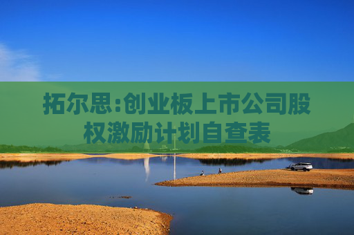 拓尔思:创业板上市公司股权激励计划自查表