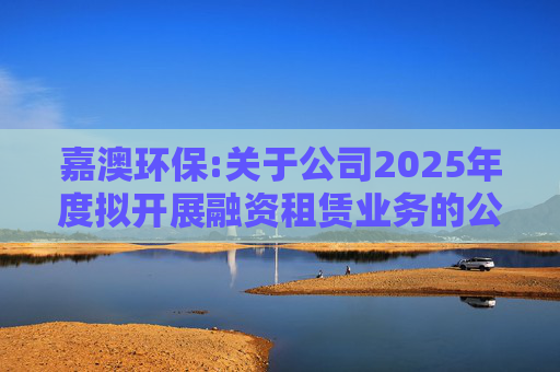 嘉澳环保:关于公司2025年度拟开展融资租赁业务的公告