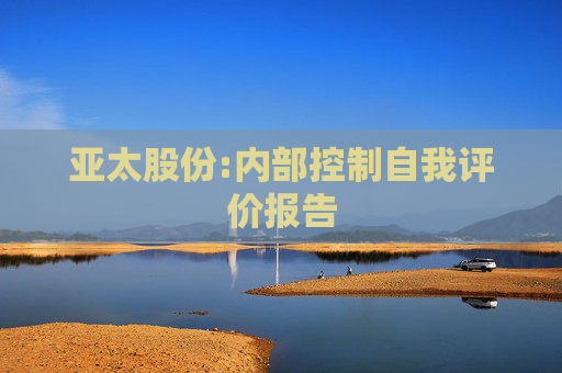亚太股份:内部控制自我评价报告  第1张