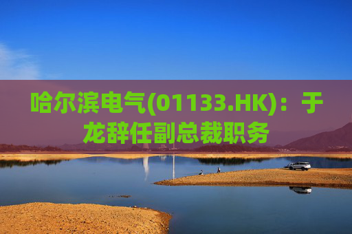 哈尔滨电气(01133.HK)：于龙辞任副总裁职务