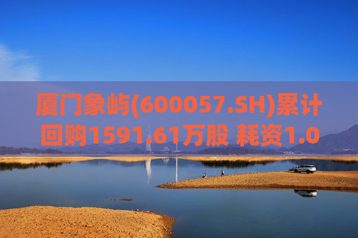 厦门象屿(600057.SH)累计回购1591.61万股 耗资1.03亿元