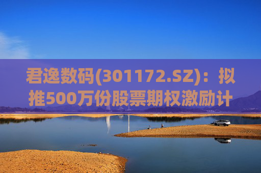 君逸数码(301172.SZ)：拟推500万份股票期权激励计划