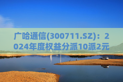 广哈通信(300711.SZ)：2024年度权益分派10派2元 股权登记日5月12日