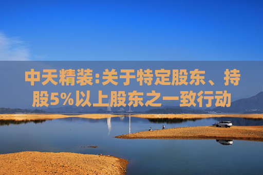 中天精装:关于特定股东、持股5%以上股东之一致行动人减持股份的预披露公告