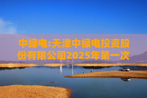 中绿电:天津中绿电投资股份有限公司2025年第一次临时股东大会决议公告