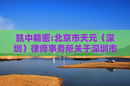 凯中精密:北京市天元（深圳）律师事务所关于深圳市凯中精密技术股份有限公司2024年年度股东大会的法律意见  第1张