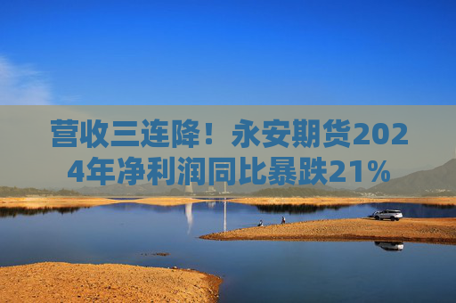 营收三连降！永安期货2024年净利润同比暴跌21%