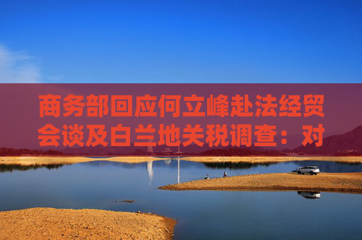 商务部回应何立峰赴法经贸会谈及白兰地关税调查：对对话磋商持开放态度
