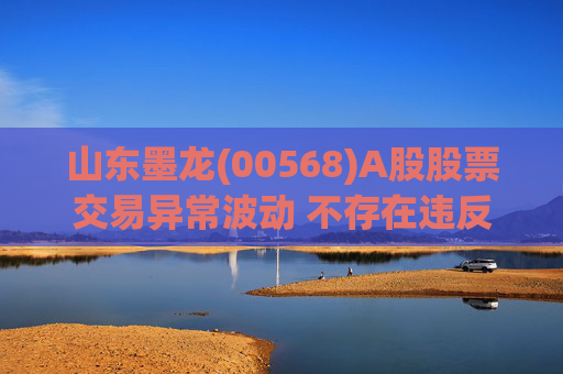 山东墨龙(00568)A股股票交易异常波动 不存在违反信息公平披露的情形