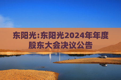 东阳光:东阳光2024年年度股东大会决议公告