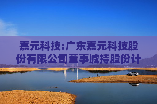 嘉元科技:广东嘉元科技股份有限公司董事减持股份计划公告  第1张