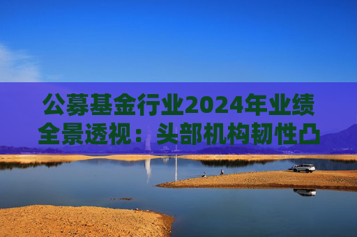 公募基金行业2024年业绩全景透视：头部机构韧性凸显 中小公司差异化突围