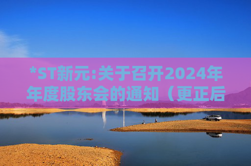 *ST新元:关于召开2024年年度股东会的通知（更正后）