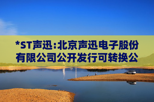 *ST声迅:北京声迅电子股份有限公司公开发行可转换公司债券第一次临时受托管理事务报告（2025年度）