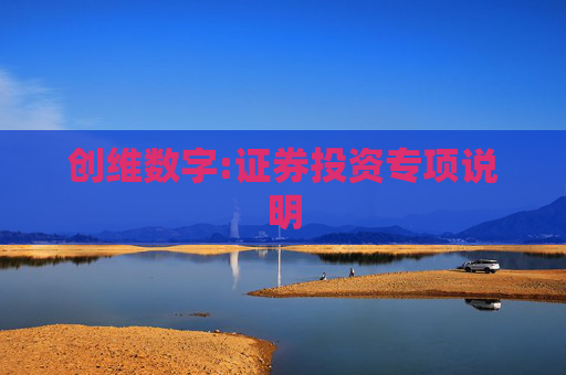 创维数字:证券投资专项说明