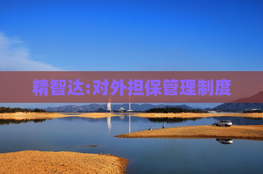 精智达:对外担保管理制度  第1张