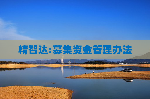 精智达:募集资金管理办法