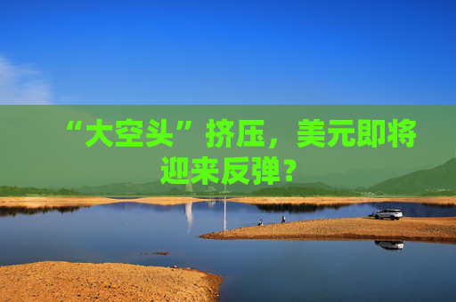 “大空头”挤压，美元即将迎来反弹？