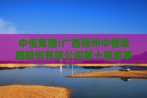 中恒集团:广西梧州中恒集团股份有限公司第十届监事会第十三次会议决议公告