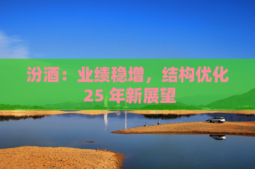 汾酒：业绩稳增，结构优化 25 年新展望
