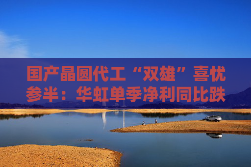 国产晶圆代工“双雄”喜忧参半：华虹单季净利同比跌近9成，中芯国际大涨166.5%