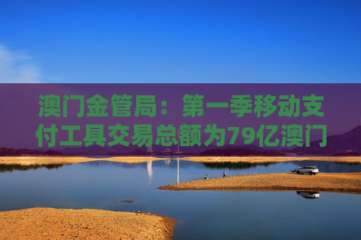 澳门金管局：第一季移动支付工具交易总额为79亿澳门元 同比上升8.7%