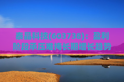 泰晶科技(603738)：盈利阶段承压难掩长期增长趋势 加码车规高附加值产品序列