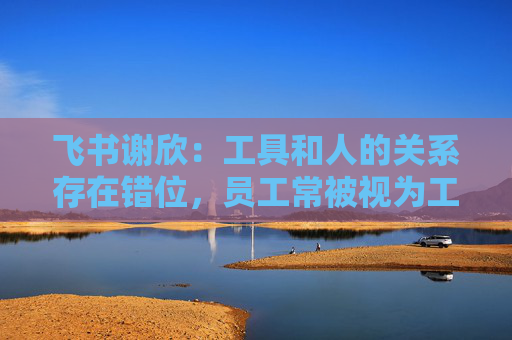 飞书谢欣：工具和人的关系存在错位，员工常被视为工具的附属