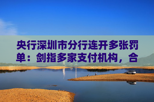 央行深圳市分行连开多张罚单：剑指多家支付机构，合计罚没超1483万元