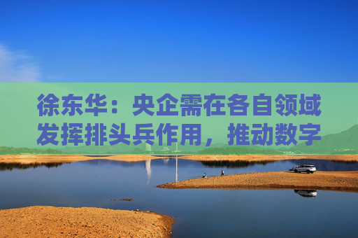 徐东华：央企需在各自领域发挥排头兵作用，推动数字化转型