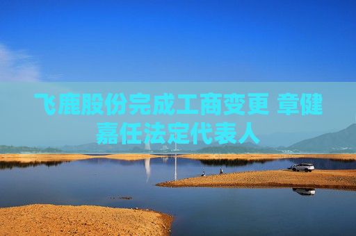 飞鹿股份完成工商变更 章健嘉任法定代表人