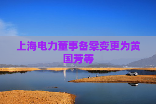 上海电力董事备案变更为黄国芳等
