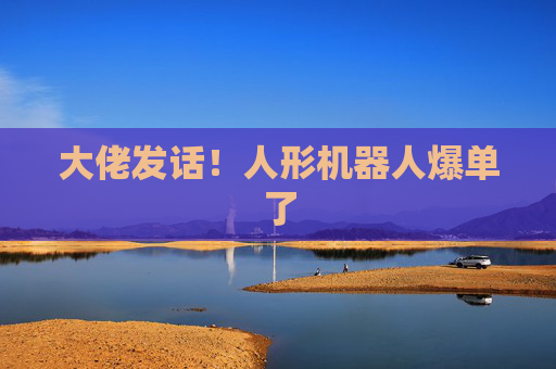大佬发话！人形机器人爆单了