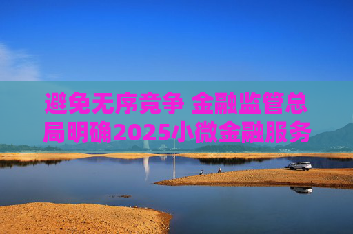 避免无序竞争 金融监管总局明确2025小微金融服务新目标  第1张