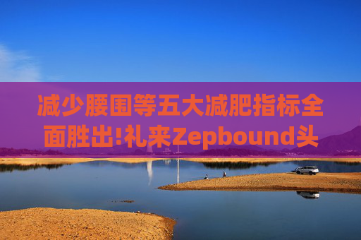减少腰围等五大减肥指标全面胜出!礼来Zepbound头对头试验碾压诺和诺德(NVO.US)Wegovy  第1张