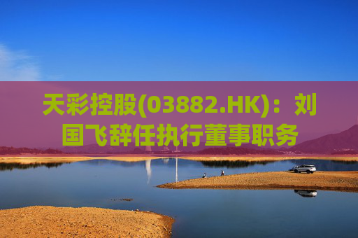 天彩控股(03882.HK)：刘国飞辞任执行董事职务  第1张