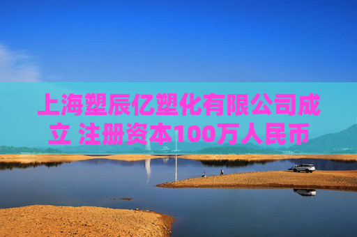 上海塑辰亿塑化有限公司成立 注册资本100万人民币
