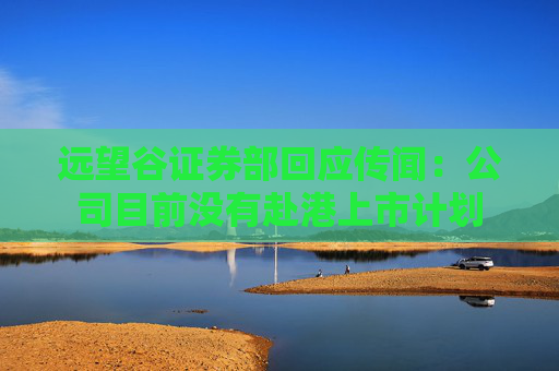 远望谷证券部回应传闻：公司目前没有赴港上市计划  第1张