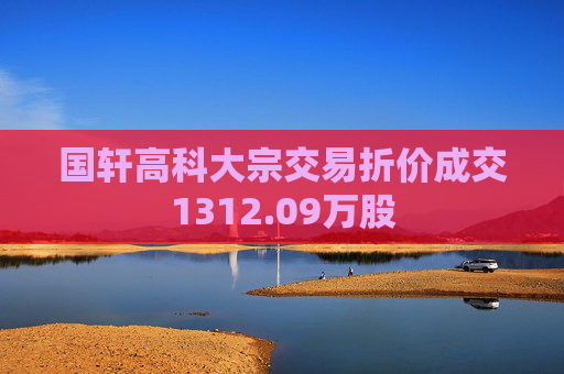 国轩高科大宗交易折价成交1312.09万股