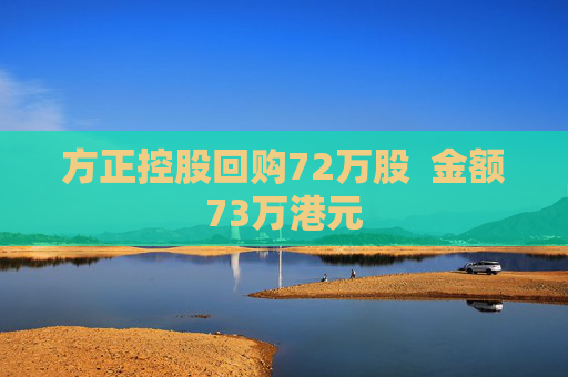 方正控股回购72万股  金额73万港元