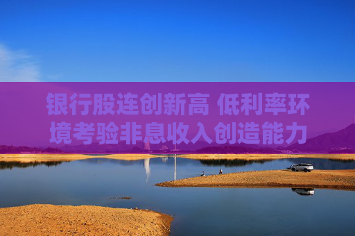 银行股连创新高 低利率环境考验非息收入创造能力