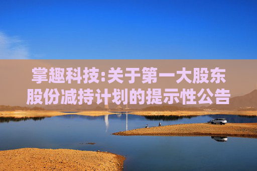 掌趣科技:关于第一大股东股份减持计划的提示性公告
