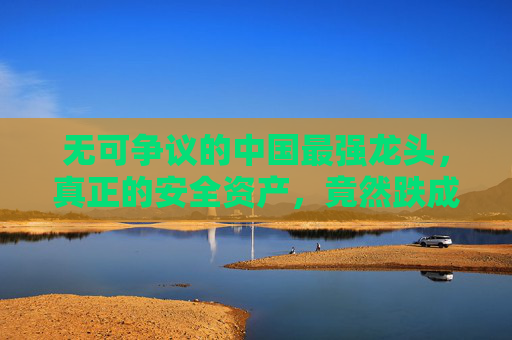 无可争议的中国最强龙头，真正的安全资产，竟然跌成了高股息股