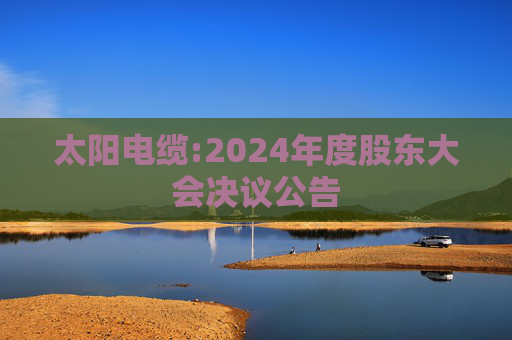 太阳电缆:2024年度股东大会决议公告